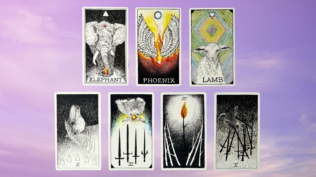 Cards from the Wild Unknown Animal Spirit Oracle and Tarot decks