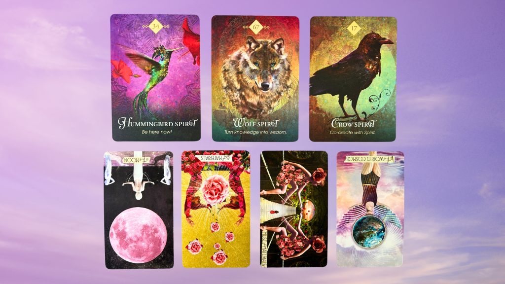 Cards from the Spirit Animal Oracle and the Muse Tarot decks
