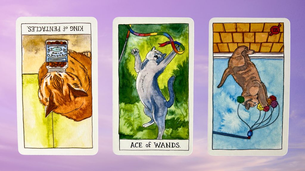 Cards from the Cat Tarot: King of Pentacles, Ace of Wands, and Six of Wands