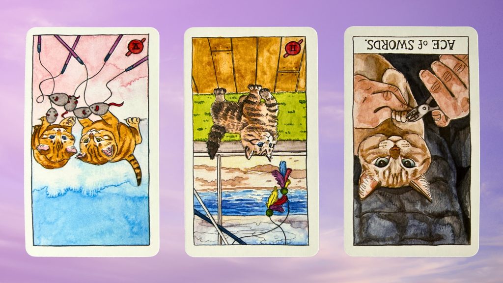 Cards from the Cat Tarot: Five of Wands, Two of Wands, and Ace of Swords