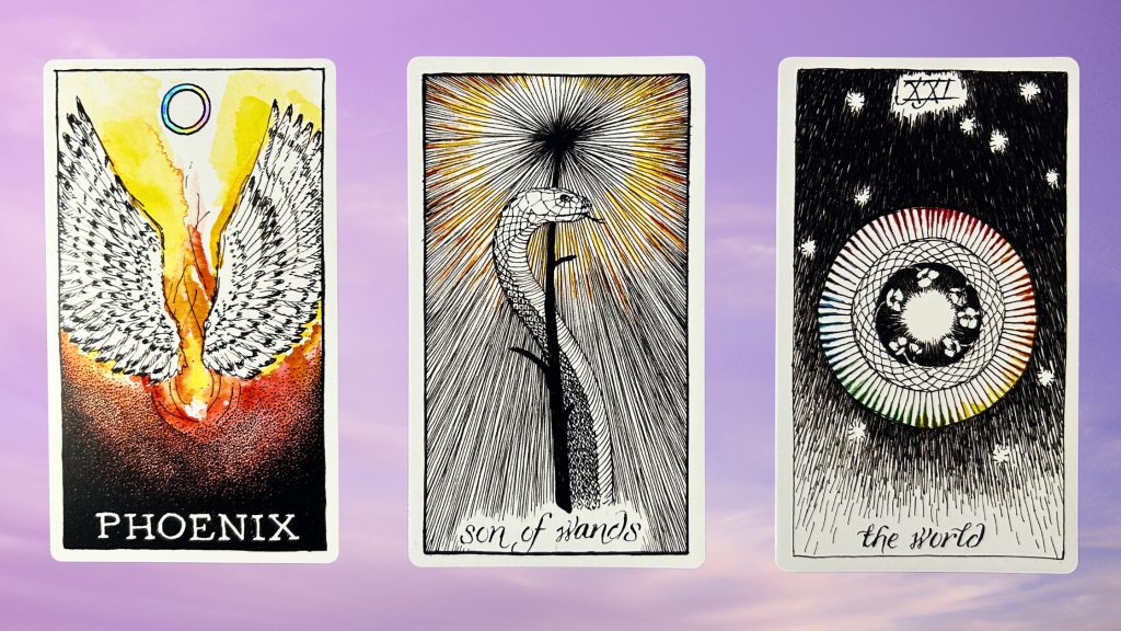 Cards from the Wild Unknown Animal Oracle and Tarot decks