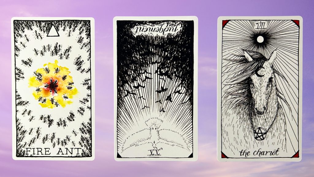 Cards from the Wild Unknown Animal Oracle and Tarot decks