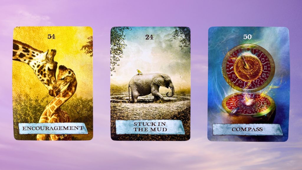 Cards from the Enchanted Map Oracle deck